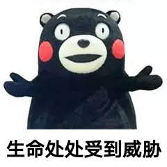 微信图片_20241125200255.png